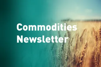 Commodities Newsletter - Image