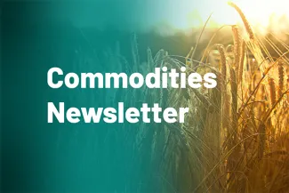 Commodities Newsletter Spring 2024