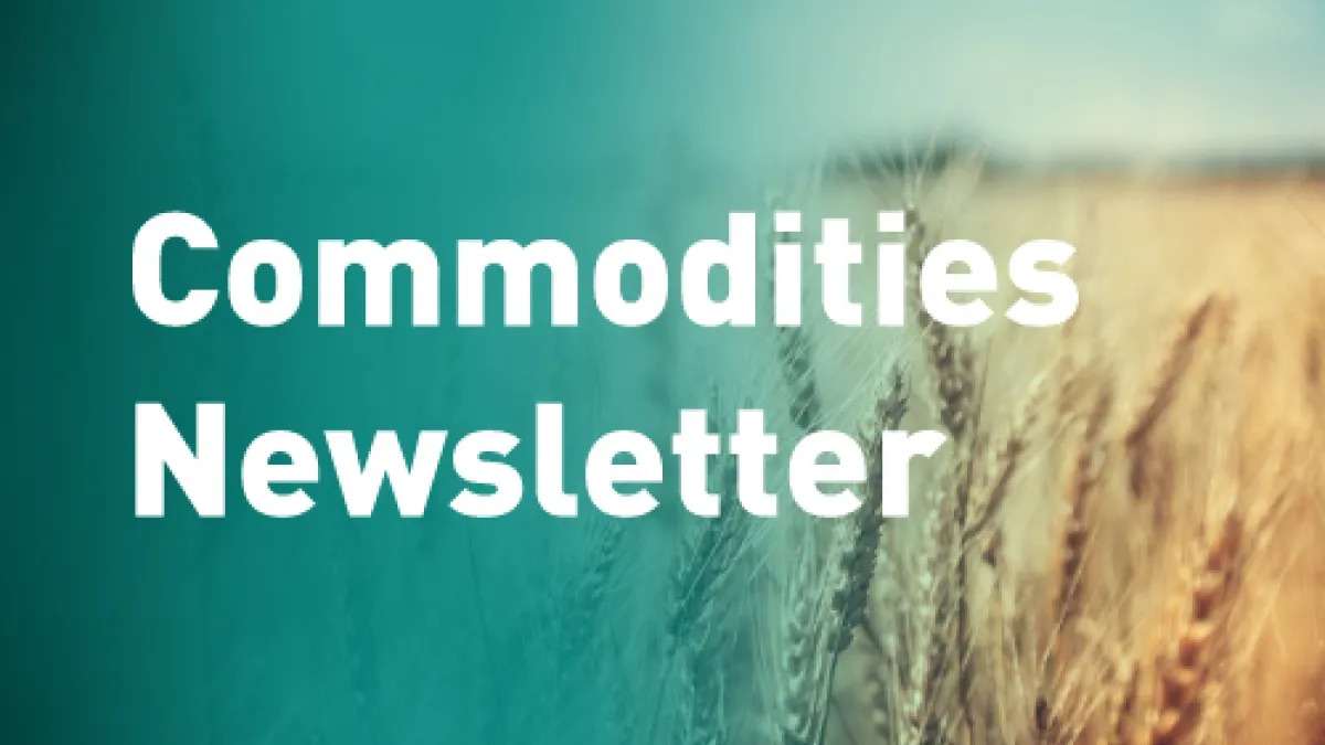 Commodities Newsletter - Image